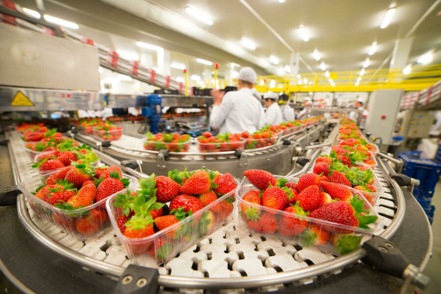 Las berries de Huelva en todos los hospitales de Andalucía