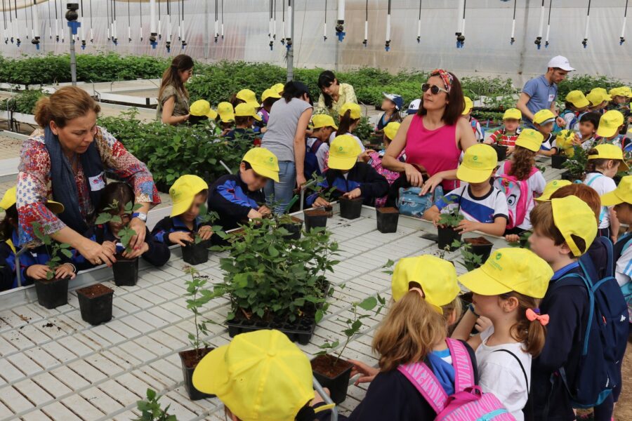 Visita del Colegio Colón Maristas a nuestros cultivos