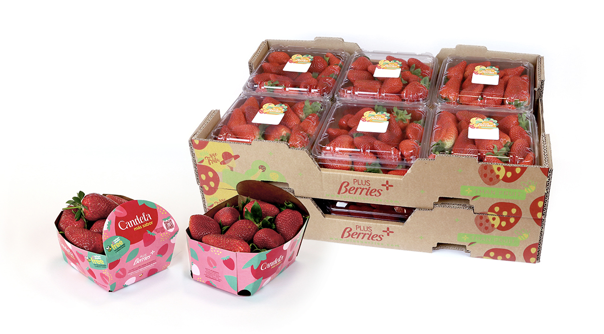 Promotion Strawberry - Plus Berries