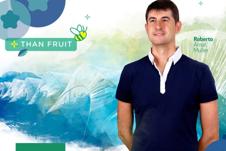 Plus Berries participa en Webinar «Emprende post COVID19: Retos Industria y Agroindustria»