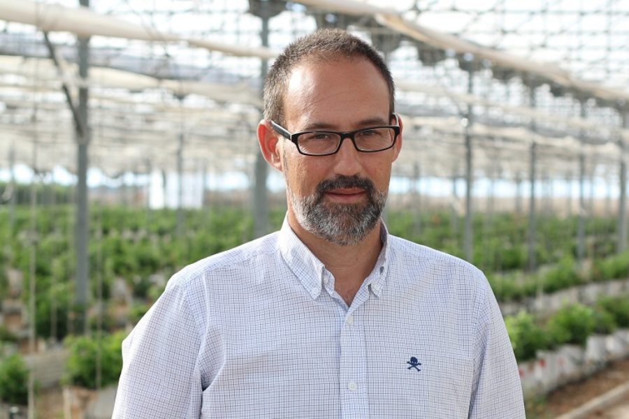 Objetivos de Desarrollo Sostenible en agricultura