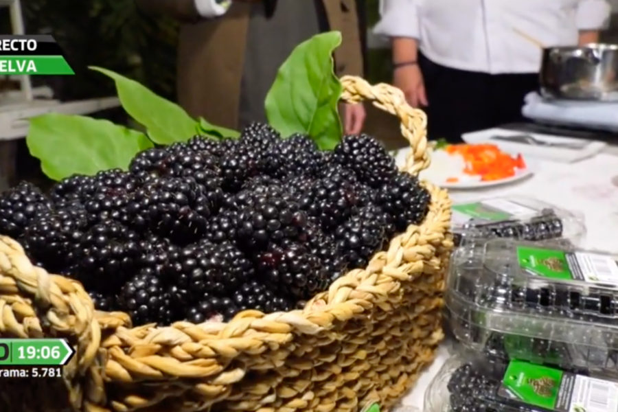 Arroz de leche con moras